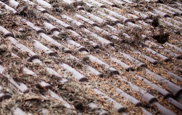 Murroes roof cleaning companies